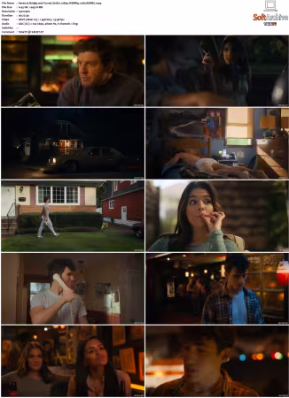 Bridge and Tunnel S01 S02 1080p WEBRip x265-RARBG