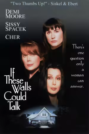 If These Walls Could Talk 1996 1080p WEB-DL HEVC x265 BONE