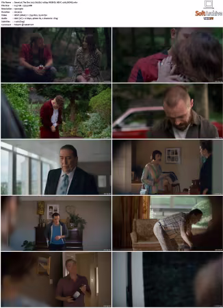 The Dry 2022 S01 S03 1080p WEB-DL HEVC x265 BONE