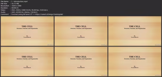 Cell Biology And Its Organelle