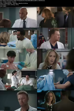 Greys Anatomy S22E17 Through the Fire 720p AMZN WEB-DL DDP5 1 H 264-NTb