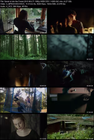 Into the Forest 2015 MULTi 1080p WEB DD 5.1 H265-SiC