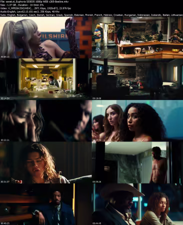 Euphoria S03E05 1080p WEB x265-Beeline