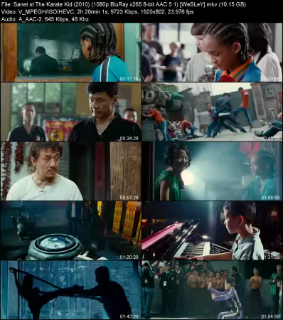 The Karate Kid 2010 1080p BluRay x265 8-bit AAC 5.1 WeSLeY
