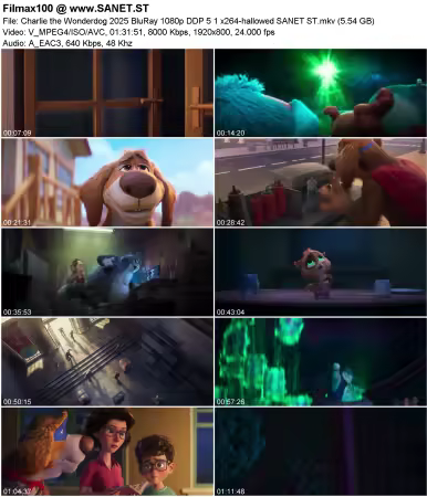 Charlie the Wonderdog 2025 BluRay 1080p DDP 5.1 x264-hallowed