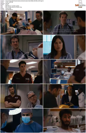 Chicago Med S11 1080p WEBRip 10Bit DDP5.1 HEVC-d3g