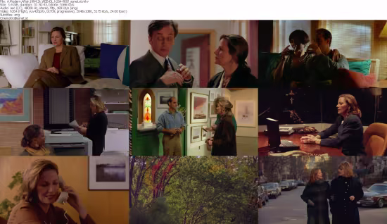 A Modern Affair 1994 2k WEB-DL h264-fl00f