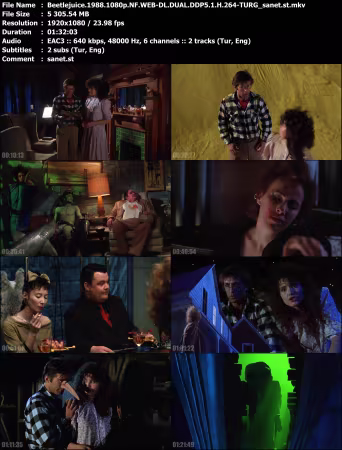 Beetlejuice 1988 1080p NF WEB-DL DUAL DDP5.1 H264-TURG