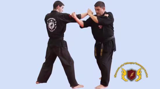 Kajukenbo Belt Promotion - White Belt to Brown Belt