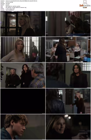 Law and Order SVU S27 1080p 10bit WEBRip 6CH x265 HEVC-PSA