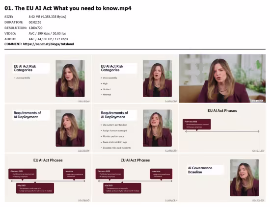 Essential AI Governance: Bridging Responsible AI, Compliance, and Regulation