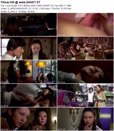Love Hunter 1972 BDRip x264-YAMG