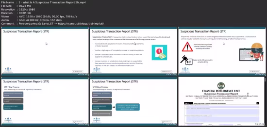 Aml Reporting Essentials: Str, Ctr And Sar Made Simple