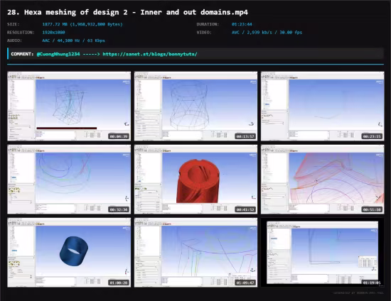 ICEMCFD Master Class (Level 2)