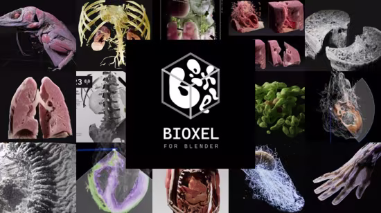 Superhive Market - Bioxel Nodes v2.0.0
