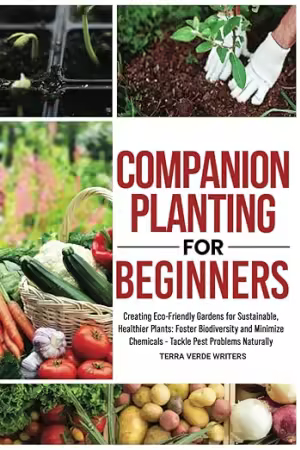 Companion Planting for Beginners