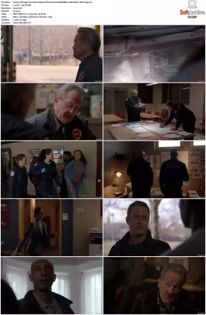 Chicago Fire S14 1080p WEBRip 10Bit DDP5.1 HEVC-d3g