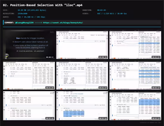 Python for Data Science : Database and Visualization