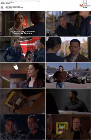 Chicago Fire S14 1080p WEBRip 10Bit DDP5.1 HEVC-d3g