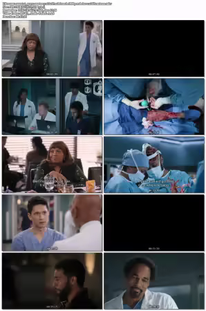 Greys Anatomy S22E17 SUBFRENCH 1080p WEB HEVC X265-RMT