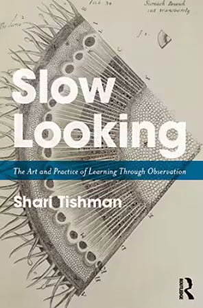 Slow Looking: The Art and Practice of Learning Through Observation[Audiobook]