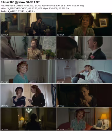 Mrs Harris Goes to Paris 2022 BDRip x264-PiGNUS