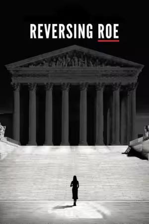 Reversing Roe 2018 1080p NF WEB-DL DDP5 1 x264-NTG
