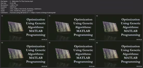 Optimization Using Genetic Algorithms : Matlab Programming