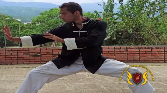Traditional Kung Fu Tang Lang Chuen First 5 Forms