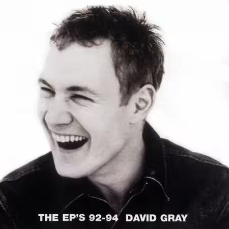 David Gray - The EP's 92-94 (2001)[FLAC/MP3]