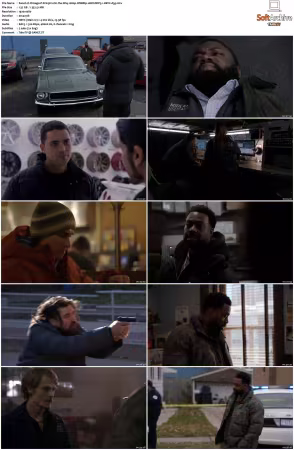 Chicago P D S13 1080p WEBRip 10Bit DDP5.1 HEVC-d3g