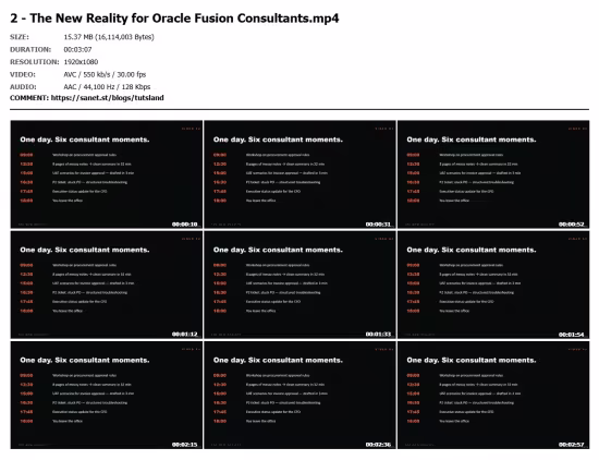 Oracle Fusion + ChatGPT: Functional Consultant Crash Course
