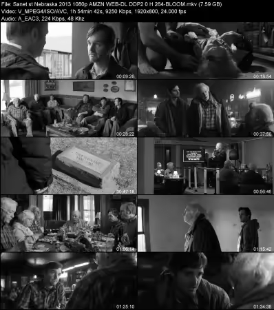 Nebraska 2013 1080p AMZN WEB-DL DDP 2.0 H264-BLOOM