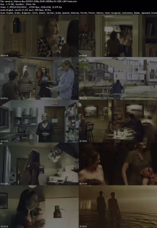 Widows Bay S01E04 1080p DS4K WEBRip DV HDR x265-Huda