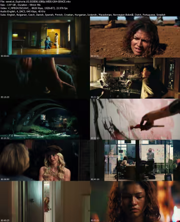 Euphoria US S03E06 1080p WEB h264-GRACE