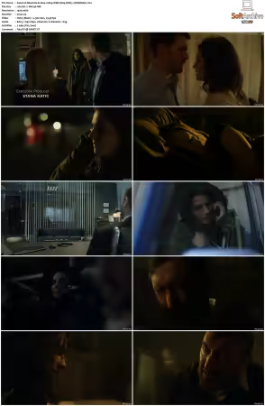 Absentia S01 S03 1080p WEB H264 DDP5.1-DERMAGiC
