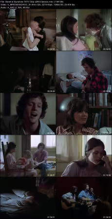 Sunshine 1973 720p x264-Classics