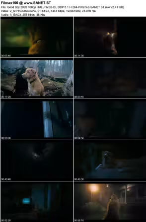 Good Boy 2025 1080p HULU WEB-DL DDP 5.1 H264-PiRaTeS