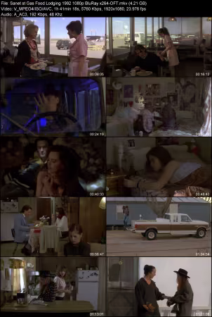 Gas Food Lodging 1992 1080p BluRay x264-OFT