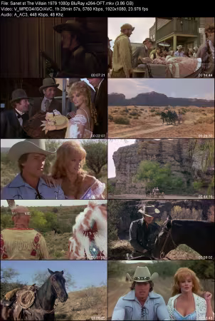 The Villain 1979 1080p BluRay x264-OFT