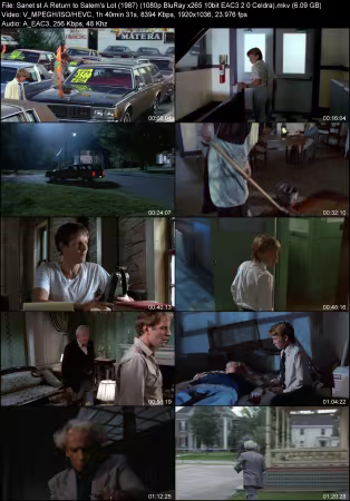 A Return to Salems Lot 1987 1080p BluRay x265 10bit EAC3 2.0 Celdra