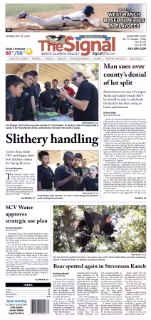 The Signal - 19 May 2026