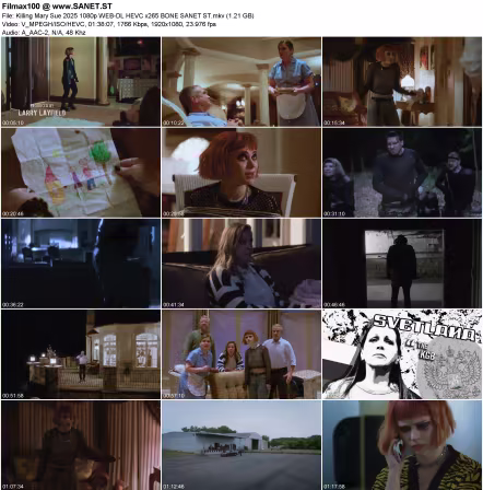 Killing Mary Sue 2025 1080p WEB-DL HEVC x265 BONE