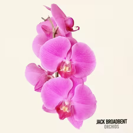 Jack Broadbent - Orchids (2026) Hi-Res