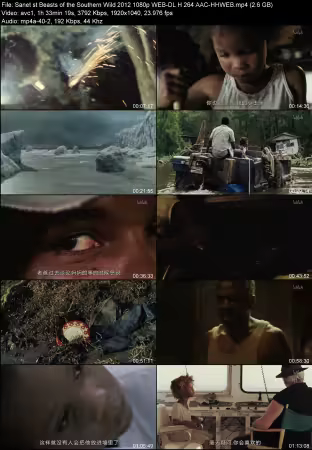 Beasts of the Southern Wild 2012 1080p WEB-DL H264 AAC-HHWEB