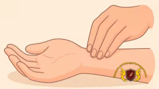 Pulse Diagnosis in Traditional Chinese Medicine-Basic 4