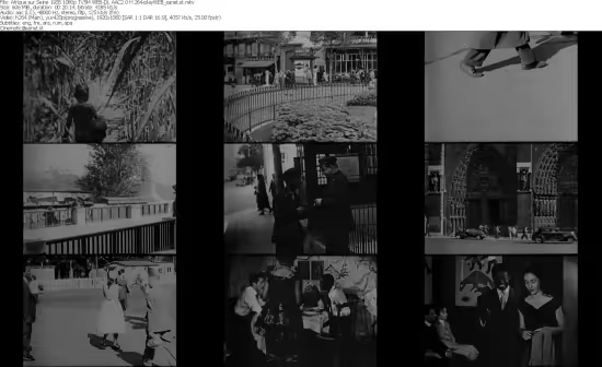Afrique sur Seine 1955 1080p TV5M WEB-DL H264-playWEB