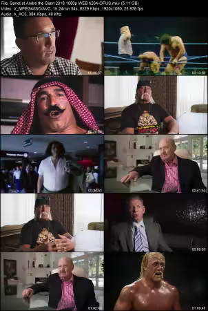Andre the Giant 2018 1080p WEB h264-OPUS