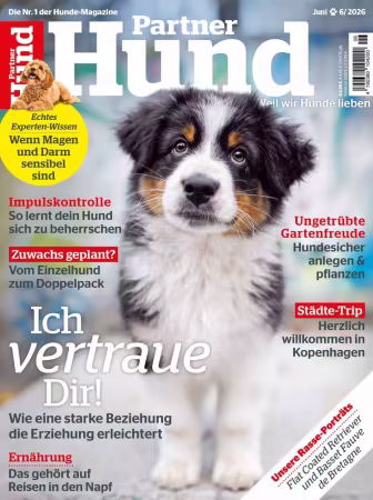 Partner Hund - Nr.06 2026