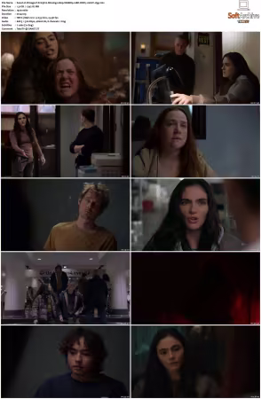 Chicago P D S13 1080p WEBRip 10Bit DDP5.1 HEVC-d3g